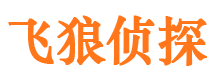 齐河市侦探公司